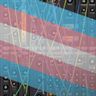 🏳️‍⚧️Trans Synths🎛️