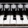 Unsigned Musician feed