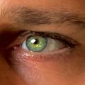 Profile picture guardian.eurosky.social