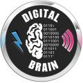 Profile picture yourdigitalbrain.bsky.social
