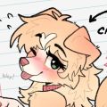 Profile picture hercollie.bsky.social
