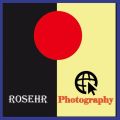 Profile picture rosehrphotography.bsky.social