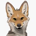 Profile picture animalshapes.bsky.social