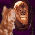 Profile picture imranicus.bsky.social