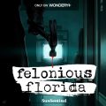 Profile picture feloniousflorida.com