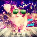 Profile picture jvegas.eurosky.social