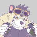 Profile picture raccoon21c.bsky.social
