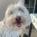 Profile picture nickstefan.bsky.social