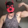 Profile picture musclewolfgymothy.bsky.social