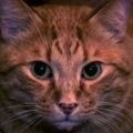 Profile picture ismua.bsky.social