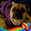 Profile picture sande0724.bsky.social