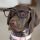 gustofferson.bsky.social's avatar