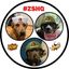 🐕 Amber 🐕‍🦺 Belle & 🐕‍🦺 Kingston ♥️