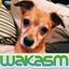 wakasm 
