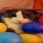soggy cat fan