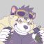 21C-Raccoon