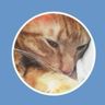 CatSky - Cat Pics🆕
