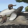 Paleontology Stuff :3