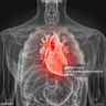 Cardio-Rheumatology