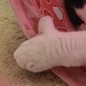 DJ & the Toebeans