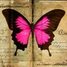 Querying Authors