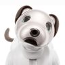 Sony Aibo Catchall Feed