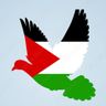 #FreePalestine