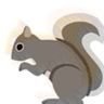 #squirrel videos