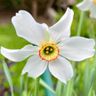 De Tuin Feed