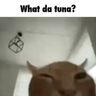 all da tuna