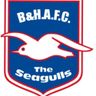 Bhafc tag