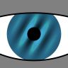 Vision Science