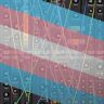 🏳️‍⚧️Trans Synths🎛️