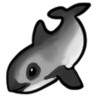 Save The Vaquita 🌊