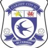 Cardiff City
